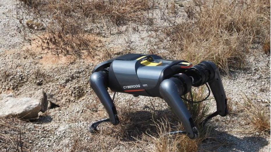 AI-Enhanced Canine Robots: The Future of Fire Ant Detection