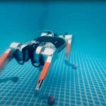 Meet the Honey Badger 4.0: The Revolutionary Robot Dog with Underwater Abilities