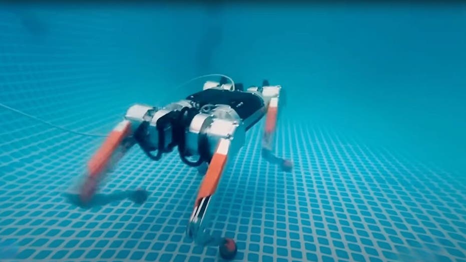 Meet the Honey Badger 4.0: The Revolutionary Robot Dog with Underwater Abilities