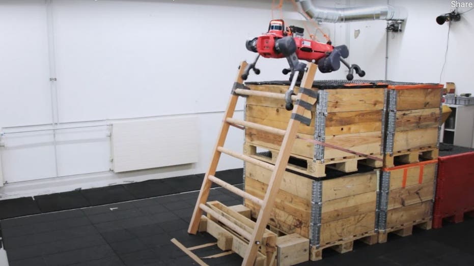 ANYmal: The Quadrupedal Robot That Climbs Ladders and Raises Eyebrows